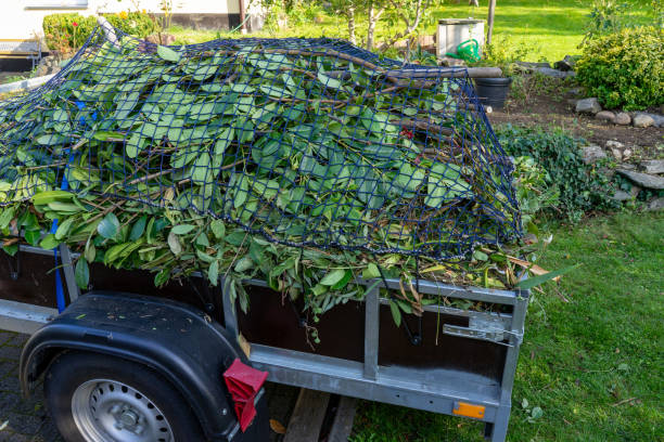 Best Hoarding Cleanup  in Windsor, MO